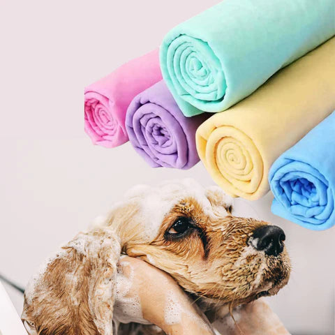 ¡¡ Oferta exclusiva ‼️ Lleva dos super toallas absorbentes🚀